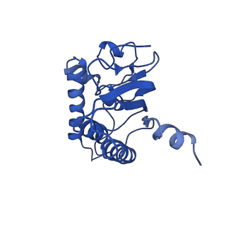 31561_7fer_I_v1-1
Cryo-EM structure of BsClpP-ADEP1 complex at pH 4.2