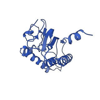 31561_7fer_J_v1-1
Cryo-EM structure of BsClpP-ADEP1 complex at pH 4.2