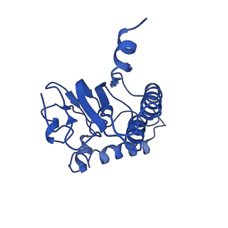 31561_7fer_K_v1-1
Cryo-EM structure of BsClpP-ADEP1 complex at pH 4.2