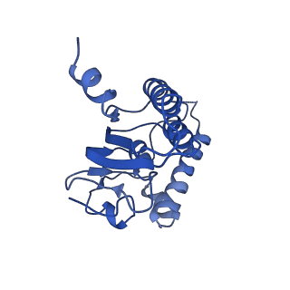 31561_7fer_L_v1-1
Cryo-EM structure of BsClpP-ADEP1 complex at pH 4.2