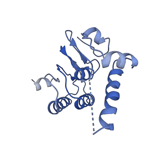 31562_7fes_B_v1-1
Cryo-EM structure of apo BsClpP at pH 4.2