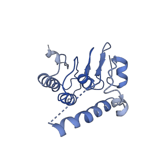31562_7fes_C_v1-1
Cryo-EM structure of apo BsClpP at pH 4.2