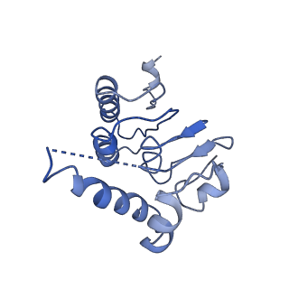 31562_7fes_D_v1-1
Cryo-EM structure of apo BsClpP at pH 4.2
