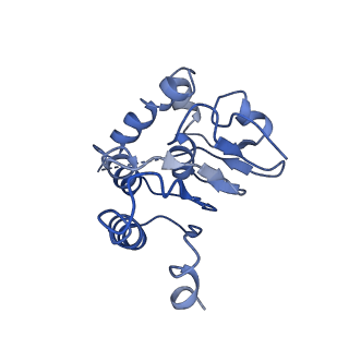 31562_7fes_H_v1-1
Cryo-EM structure of apo BsClpP at pH 4.2