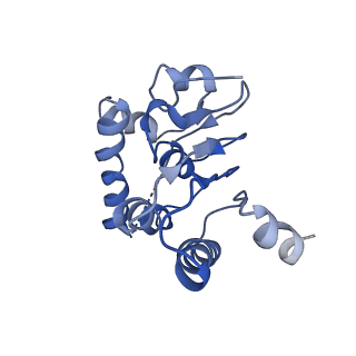 31562_7fes_I_v1-1
Cryo-EM structure of apo BsClpP at pH 4.2