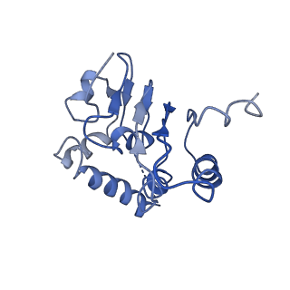 31562_7fes_J_v1-1
Cryo-EM structure of apo BsClpP at pH 4.2