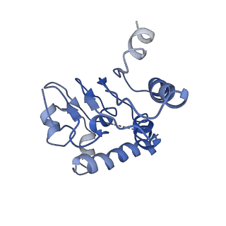31562_7fes_K_v1-1
Cryo-EM structure of apo BsClpP at pH 4.2