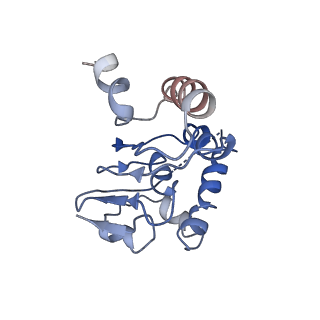 31562_7fes_L_v1-1
Cryo-EM structure of apo BsClpP at pH 4.2