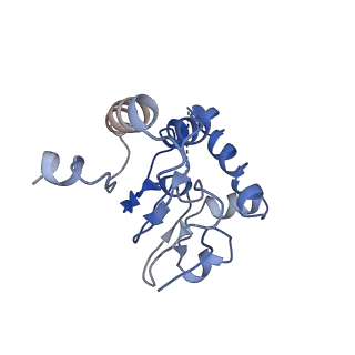 31562_7fes_M_v1-1
Cryo-EM structure of apo BsClpP at pH 4.2