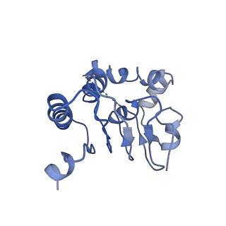 31562_7fes_N_v1-1
Cryo-EM structure of apo BsClpP at pH 4.2