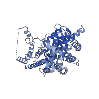 4241_6fe8_A_v1-2
Cryo-EM structure of the core Centromere Binding Factor 3 complex