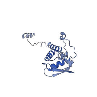4241_6fe8_C_v1-2
Cryo-EM structure of the core Centromere Binding Factor 3 complex