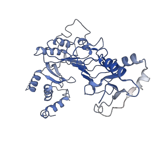 4241_6fe8_D_v1-2
Cryo-EM structure of the core Centromere Binding Factor 3 complex