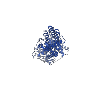 4246_6feq_A_v1-4
Structure of inhibitor-bound ABCG2
