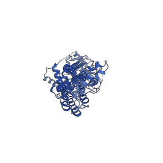 4246_6feq_B_v1-4
Structure of inhibitor-bound ABCG2