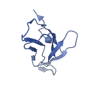 4246_6feq_C_v1-4
Structure of inhibitor-bound ABCG2