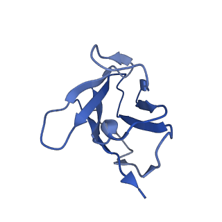 4246_6feq_E_v1-4
Structure of inhibitor-bound ABCG2