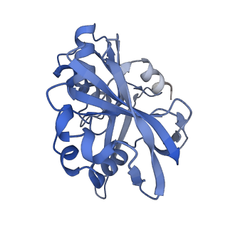 29039_8ff4_B_v1-3
Cryo-EM structure of Cascade-DNA-TniQ-TnsC complex (composite) in type I-B CAST system