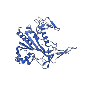 29039_8ff4_E_v1-3
Cryo-EM structure of Cascade-DNA-TniQ-TnsC complex (composite) in type I-B CAST system