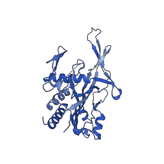29039_8ff4_G_v1-3
Cryo-EM structure of Cascade-DNA-TniQ-TnsC complex (composite) in type I-B CAST system