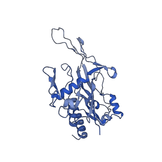 29039_8ff4_H_v1-3
Cryo-EM structure of Cascade-DNA-TniQ-TnsC complex (composite) in type I-B CAST system