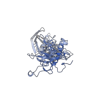 29039_8ff4_I_v1-3
Cryo-EM structure of Cascade-DNA-TniQ-TnsC complex (composite) in type I-B CAST system