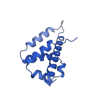 29039_8ff4_L_v1-3
Cryo-EM structure of Cascade-DNA-TniQ-TnsC complex (composite) in type I-B CAST system