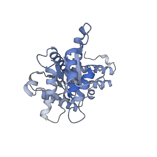 29039_8ff4_Q_v1-3
Cryo-EM structure of Cascade-DNA-TniQ-TnsC complex (composite) in type I-B CAST system