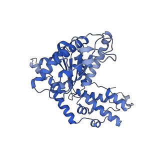 29039_8ff4_R_v1-3
Cryo-EM structure of Cascade-DNA-TniQ-TnsC complex (composite) in type I-B CAST system