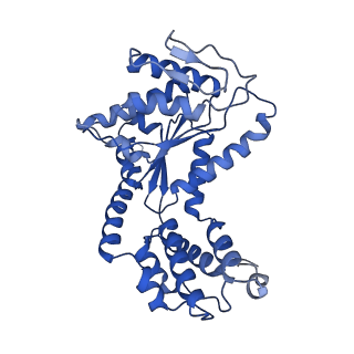 29039_8ff4_S_v1-3
Cryo-EM structure of Cascade-DNA-TniQ-TnsC complex (composite) in type I-B CAST system