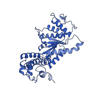 29039_8ff4_T_v1-3
Cryo-EM structure of Cascade-DNA-TniQ-TnsC complex (composite) in type I-B CAST system