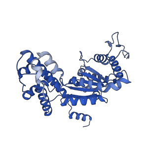29039_8ff4_U_v1-3
Cryo-EM structure of Cascade-DNA-TniQ-TnsC complex (composite) in type I-B CAST system