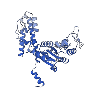 29039_8ff4_V_v1-3
Cryo-EM structure of Cascade-DNA-TniQ-TnsC complex (composite) in type I-B CAST system