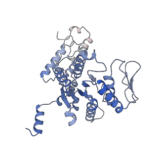 29039_8ff4_W_v1-3
Cryo-EM structure of Cascade-DNA-TniQ-TnsC complex (composite) in type I-B CAST system