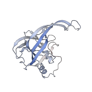 29040_8ff5_A_v1-3
Cryo-EM structure of Cascade-DNA-fullRloop in type I-B CAST system