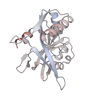 29040_8ff5_B_v1-3
Cryo-EM structure of Cascade-DNA-fullRloop in type I-B CAST system