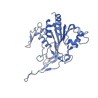 29040_8ff5_D_v1-3
Cryo-EM structure of Cascade-DNA-fullRloop in type I-B CAST system