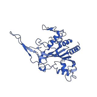 29040_8ff5_F_v1-3
Cryo-EM structure of Cascade-DNA-fullRloop in type I-B CAST system