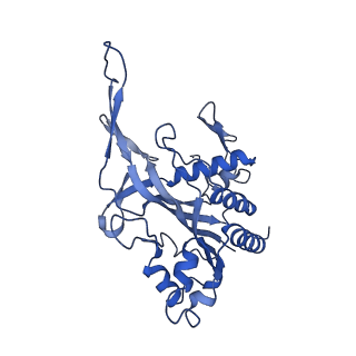 29040_8ff5_G_v1-3
Cryo-EM structure of Cascade-DNA-fullRloop in type I-B CAST system