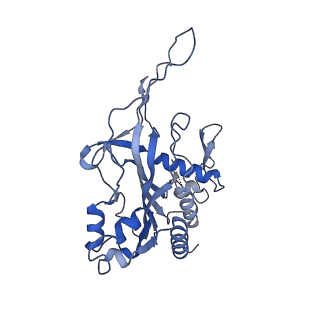 29040_8ff5_H_v1-3
Cryo-EM structure of Cascade-DNA-fullRloop in type I-B CAST system
