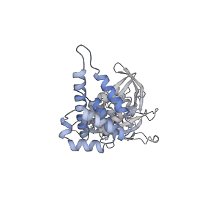 29040_8ff5_I_v1-3
Cryo-EM structure of Cascade-DNA-fullRloop in type I-B CAST system