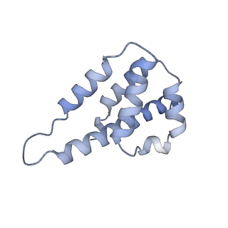 29040_8ff5_J_v1-3
Cryo-EM structure of Cascade-DNA-fullRloop in type I-B CAST system