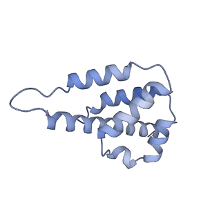 29040_8ff5_K_v1-3
Cryo-EM structure of Cascade-DNA-fullRloop in type I-B CAST system