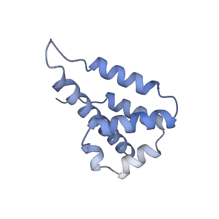 29040_8ff5_L_v1-3
Cryo-EM structure of Cascade-DNA-fullRloop in type I-B CAST system