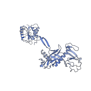 29043_8ffi_A_v1-1
Structure of tetramerized MapSPARTA upon guide RNA-mediated target DNA binding
