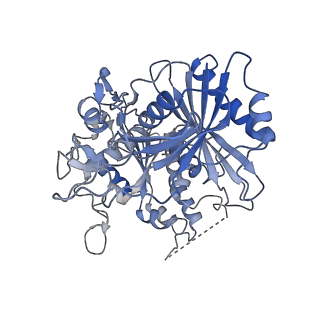 29043_8ffi_B_v1-1
Structure of tetramerized MapSPARTA upon guide RNA-mediated target DNA binding