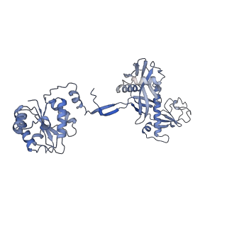 29043_8ffi_E_v1-1
Structure of tetramerized MapSPARTA upon guide RNA-mediated target DNA binding