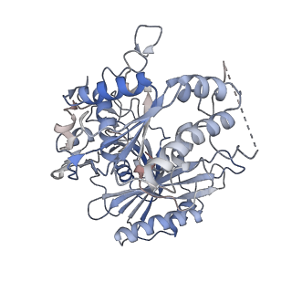 29043_8ffi_F_v1-1
Structure of tetramerized MapSPARTA upon guide RNA-mediated target DNA binding