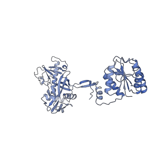 29043_8ffi_I_v1-1
Structure of tetramerized MapSPARTA upon guide RNA-mediated target DNA binding