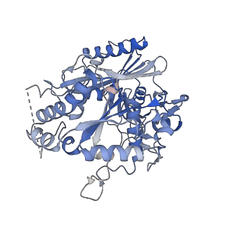 29043_8ffi_L_v1-1
Structure of tetramerized MapSPARTA upon guide RNA-mediated target DNA binding